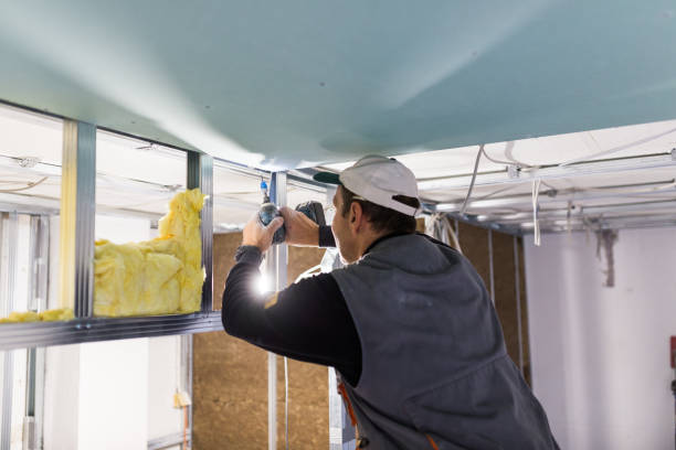 Best Insulation Maintenance and Repair in Mancelona, MI