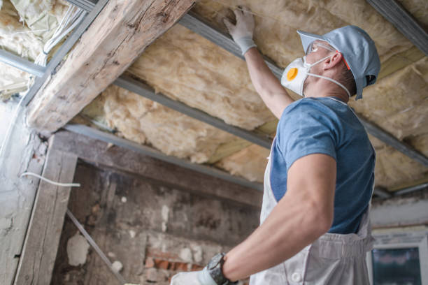 Best Specialty Insulation in Mancelona, MI