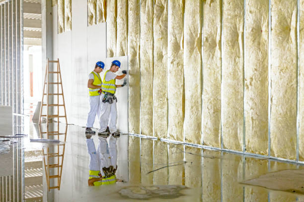 Best Residential Insulation in Mancelona, MI